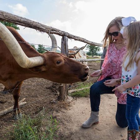 Wildcatter Ranch And Resort Graham Extérieur photo