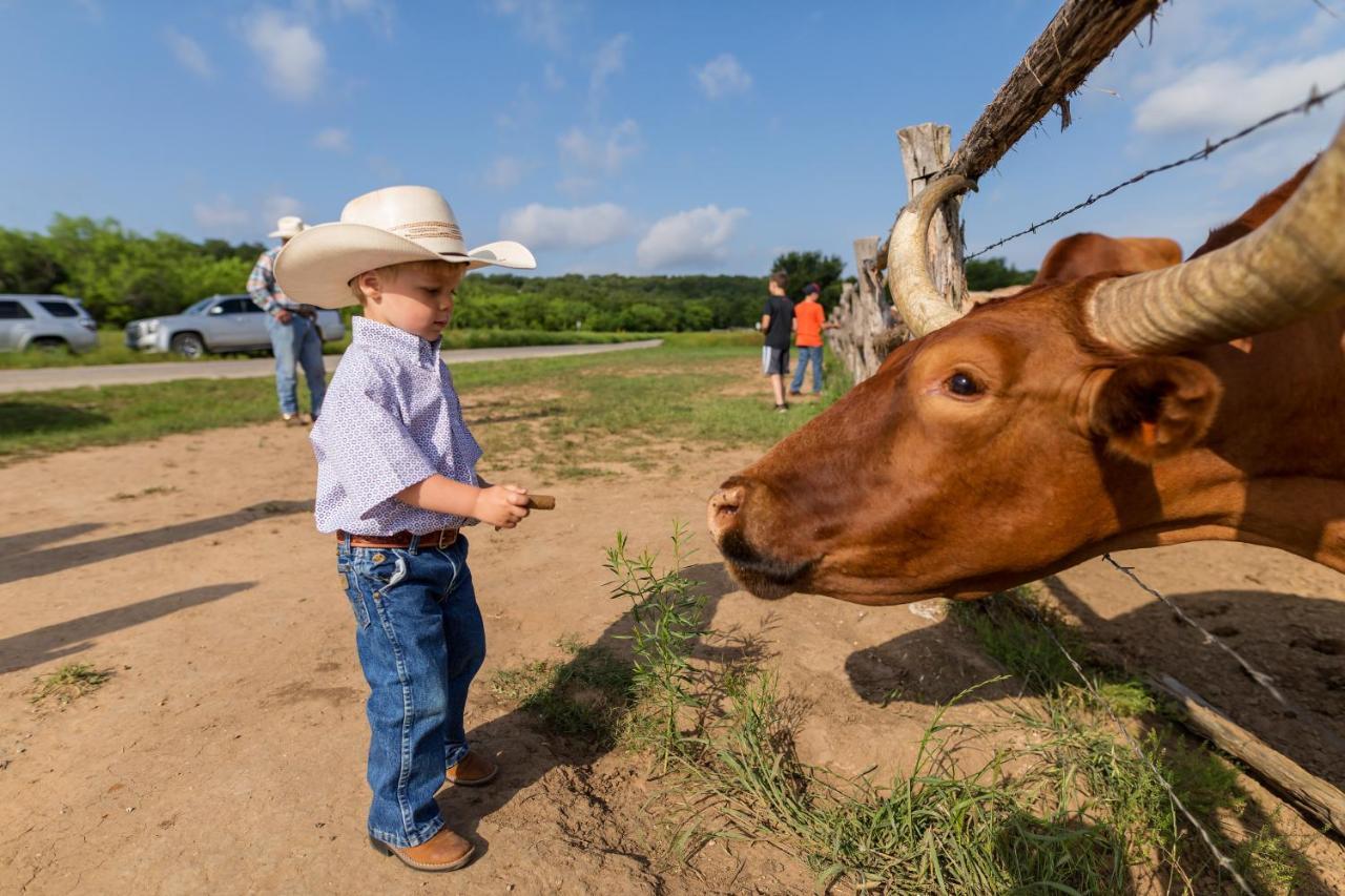 Wildcatter Ranch And Resort Graham Extérieur photo