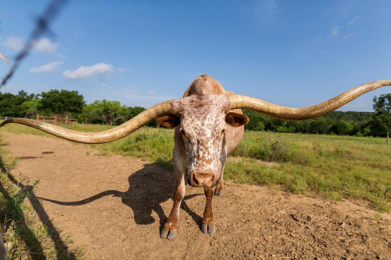 Wildcatter Ranch And Resort Graham Extérieur photo